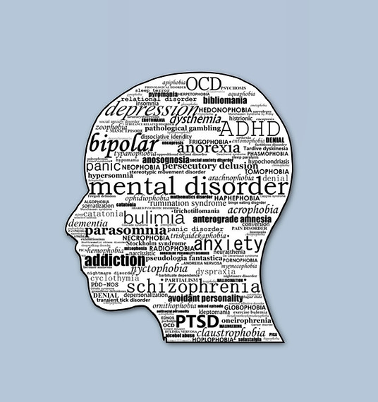 Screenshot 2024-01-08 at 11.05_edited.jp