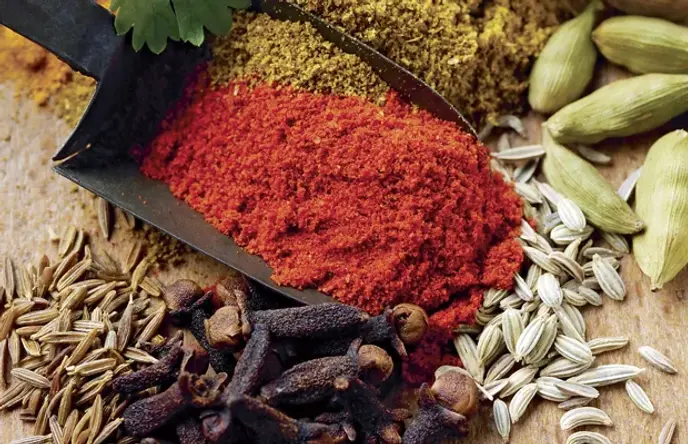Spices_01_620pxW.webp