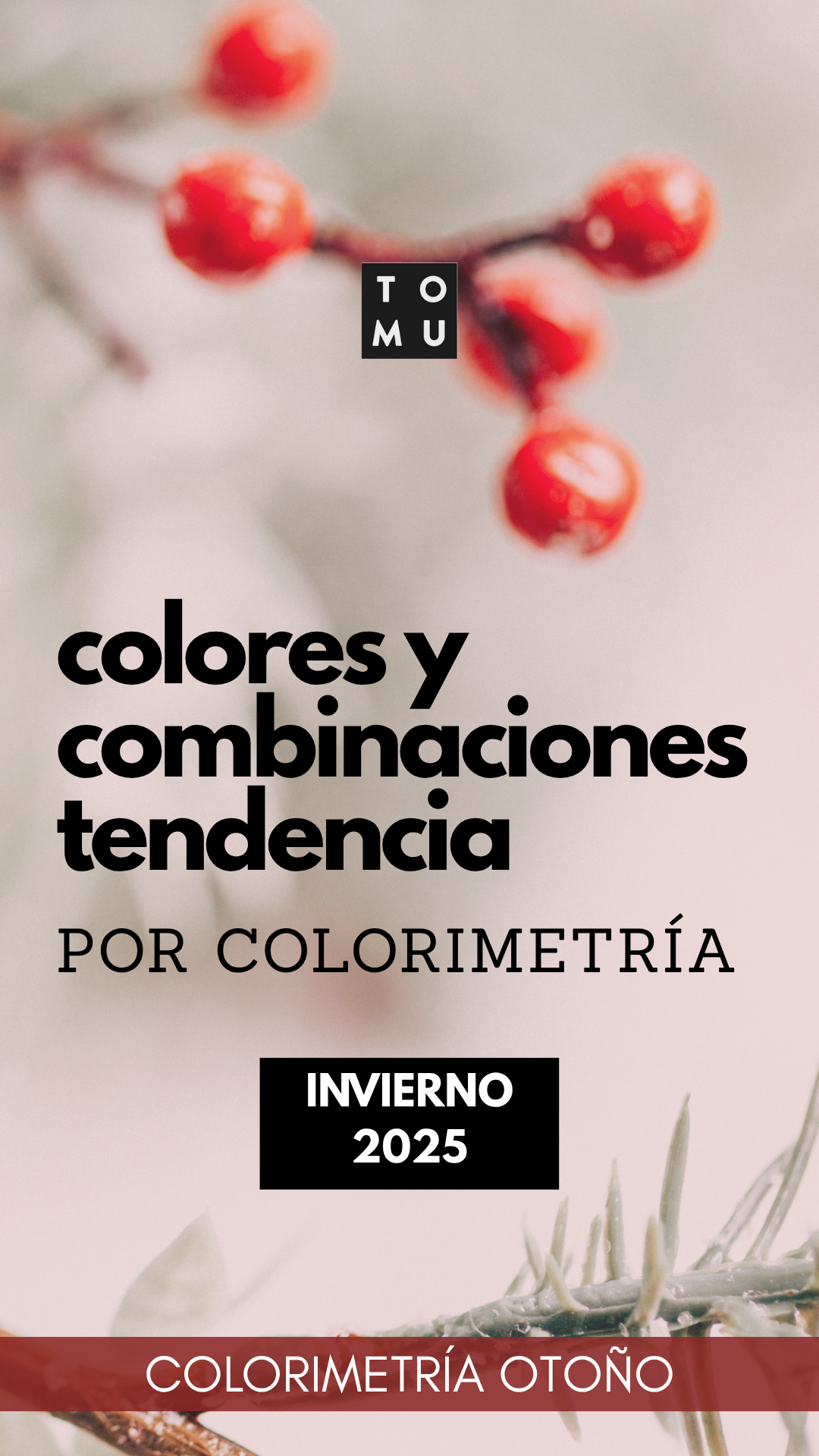 Guía Colorimetría y Tendencias. Temporada Invierno 2025 -Colorimetría Otoño.