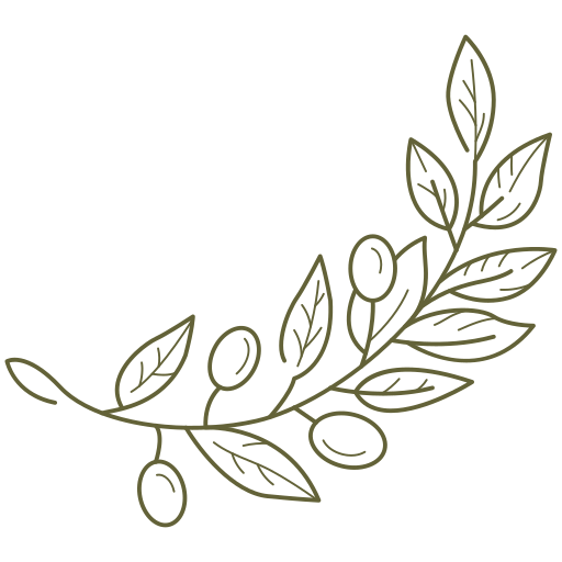olives (2).png