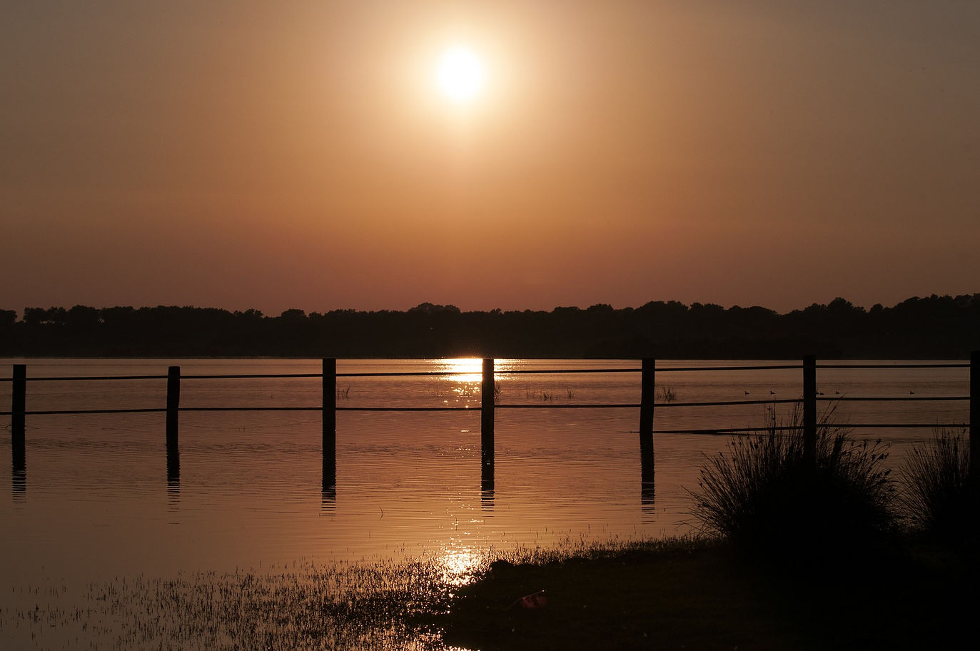 sunset-1192710_1920.jpg