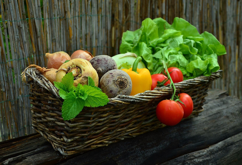 Consejos invierno frutas y hortalizas (Fresquera) - GastroSpain
