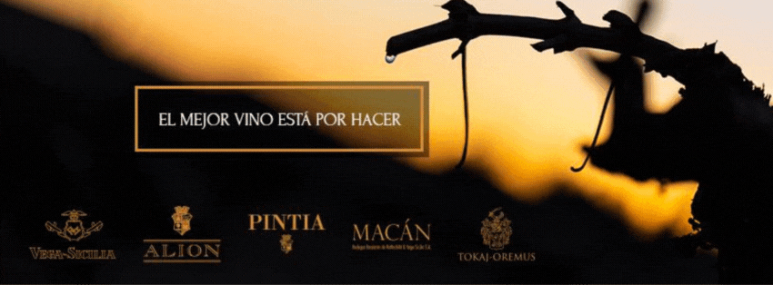 Vega Sicilia banner - GastroMadrid.gif