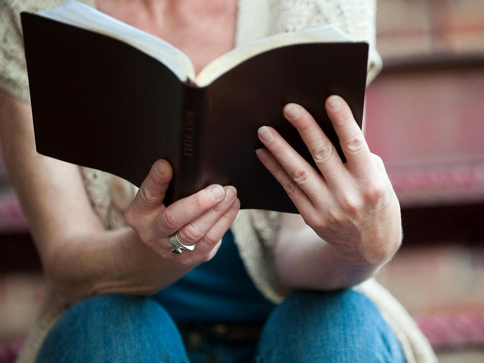 A person reads a black book titled "Holy Bible" outdoors on red steps, wearing a beige sweater and blue jeans, conveying a calm mood.
