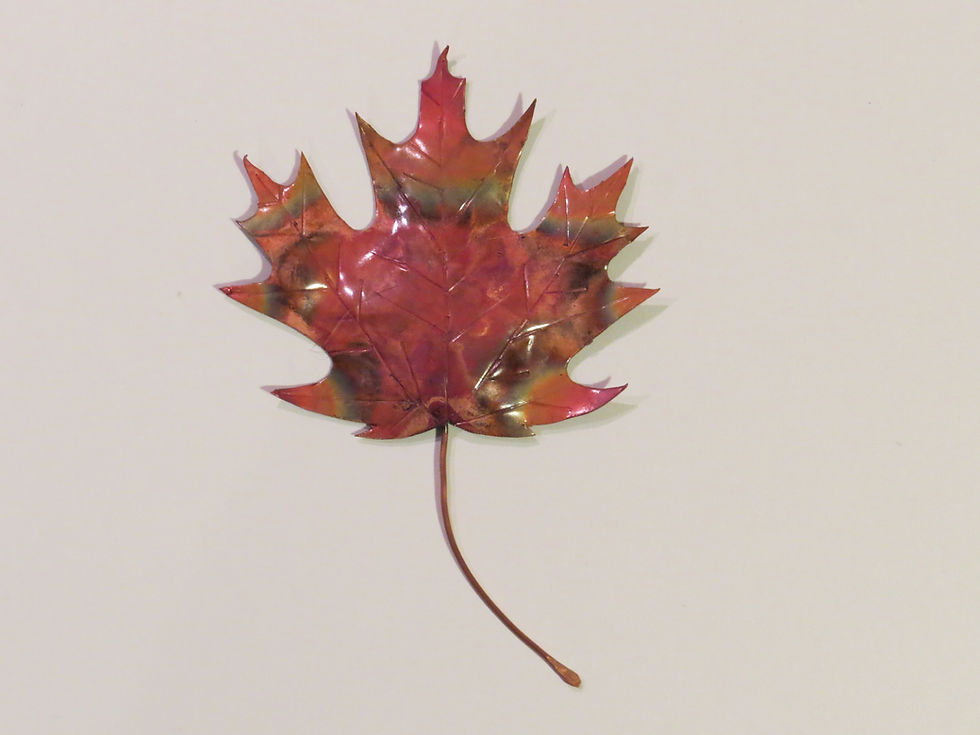 Feuille d'érable