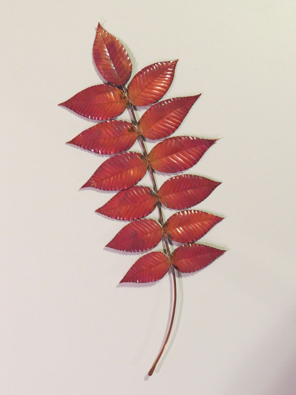 Feuille sur tige
