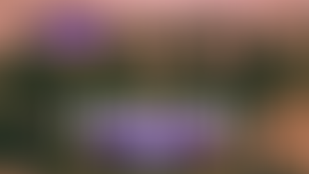 El Día que las Mujeres Iniciaron la Revolución: Febrero de 1917 en Clave de Género | #GenHistoria | Huellas de la Historia