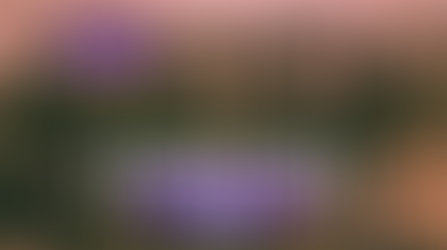 El Día que las Mujeres Iniciaron la Revolución: Febrero de 1917 en Clave de Género | #GenHistoria | Huellas de la Historia