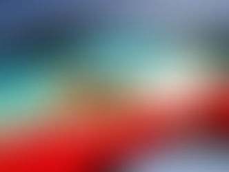 Resistencia Ancestral Mapuche (R.A.M.)