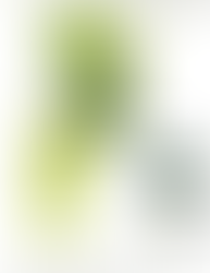 El Legado Inca en el Noroeste Argentino