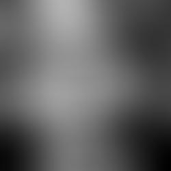 Nelson Mandela entre el mito y la realidad