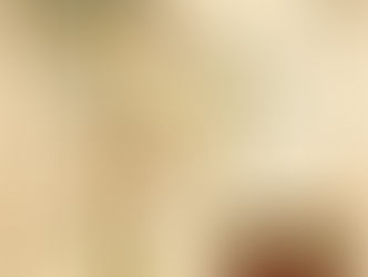 Un modelo para la América Colonial