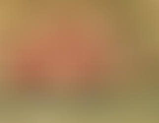 Resistencias anticoloniales: el Quilombo de los Palmares