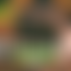 golpe en brasil y dilma rouseff