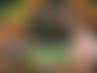 golpe en brasil y dilma rouseff