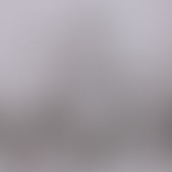 El Reparto de África, sin africanos