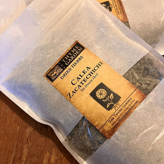 Graines Très Rares D'Herbe à Rêves - Calea Zacatechichi (Dream Herb) 50+ Graines Fraîches Héritage Pour Germination