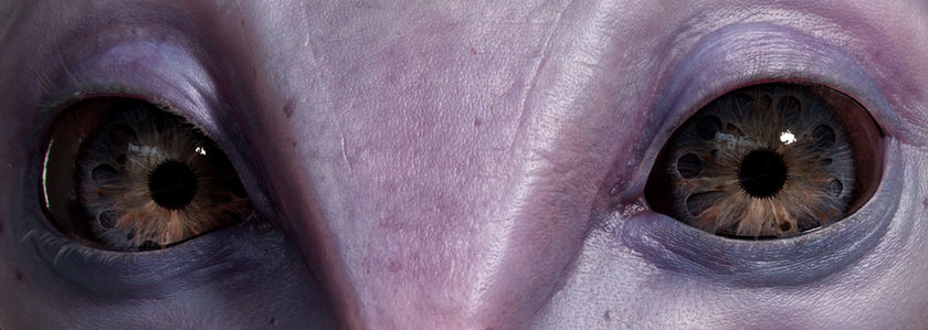 eyes setup closeup procedural