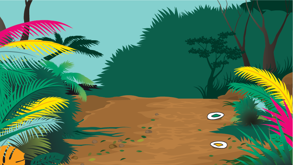 Tropical Branding Background