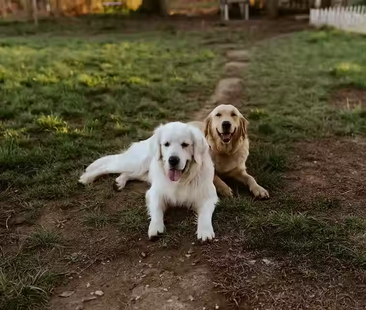 Image by Shelby Pieper.avif