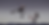 thumb270