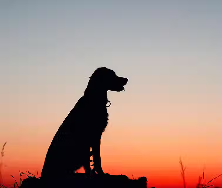 Image by Rafaëlla Waasdorp.avif