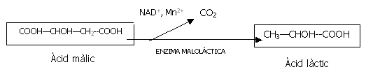 fig3_ciencia74_3.gif