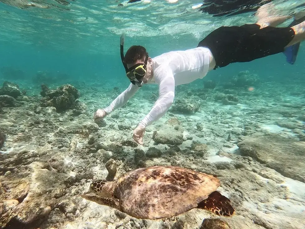 Miniatura: Snorkeling Trip in Dibba Al Fujairah For 2 Gift Voucher
