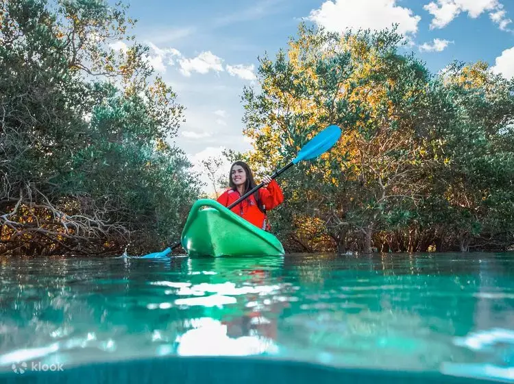 Miniatura: kayak tour gift voucher Abu Dhabi