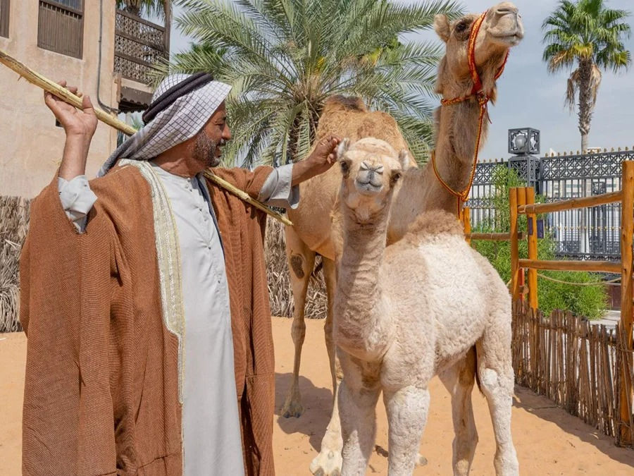 Миниатюра: emirati brunch gift voucher