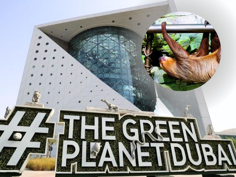 The Green Planet for Two