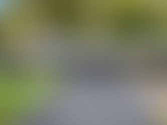 4211 Leavelle Street NW Olympia, WA 98502