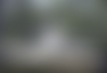 Creature Writing # 13 Mother of Monsters