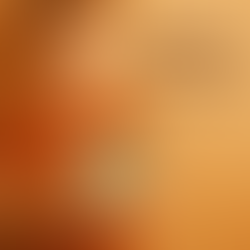 kinderbijslag 2025 2026