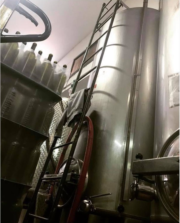 58671928_867570306953218_2895479759108571136_n_edited