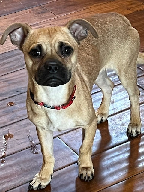 Tilly