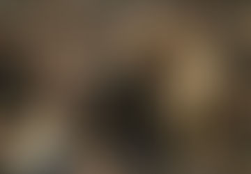 Le blog “Encre Minérale” s'attaque de front au maire d'Ember