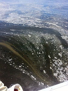 20140618_124627 (1).jpg