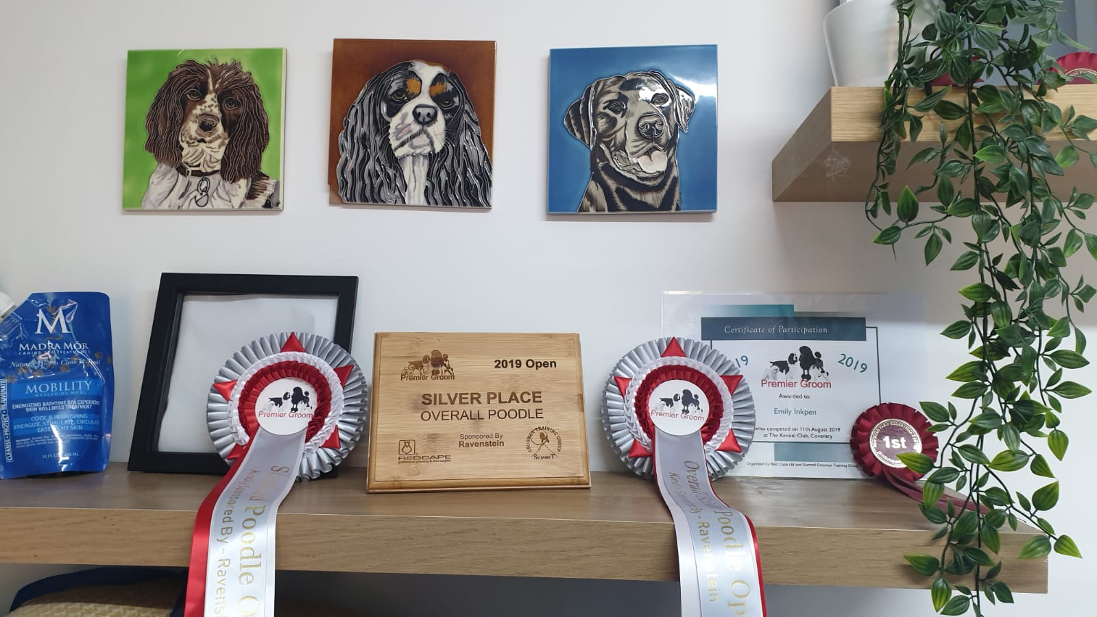 Emily's Dolly Dog Grooming