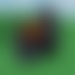 Minion Mayhem Entrance