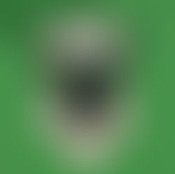 Colourful Teacups Cover