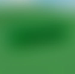 CHROMAKOPIA Container