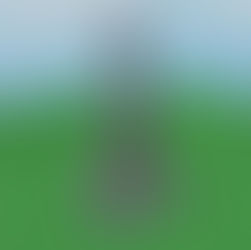 Space Gravitron Ride