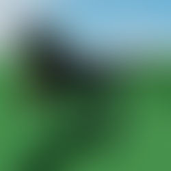 Desired_Hater's Dinosaur