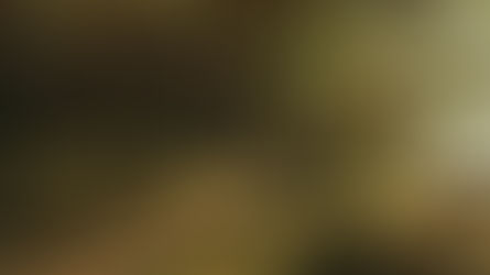 Wandertreff ab heute (07.11.) schon um 15.00 Uhr