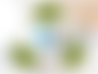 Internationale Dag van het Recyclen