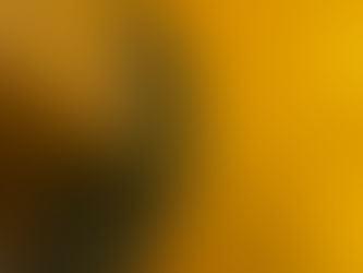 OMBS De Wielewaal Amsterdam