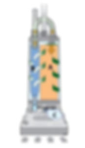 ree