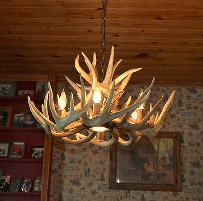 26 inch whitetail deer antler chandelier with down light.