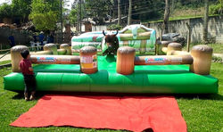 Touro Mecânico Cerquinha